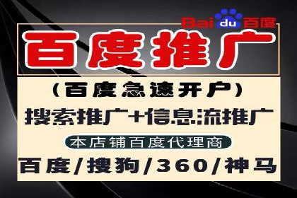 SEM推广策略：成功案例分享与优化技巧